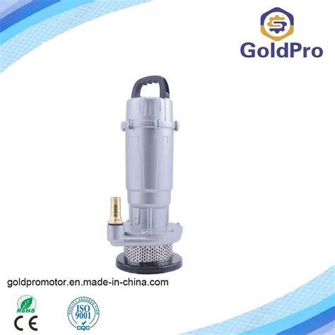 Single Phase 110V/220V AC Submersible Water Pump for Home Farm ...