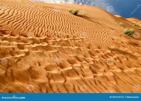 Sand Dunes in the Thar Desert after Rain Stock Image - Image of extreme ...