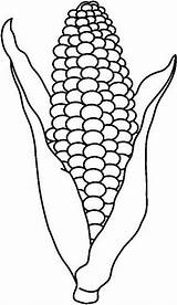 Roasting Corn Cob Coloring Page sketch template