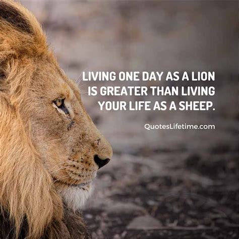 150+ Lion Quotes And Sayings With Images For Motivation