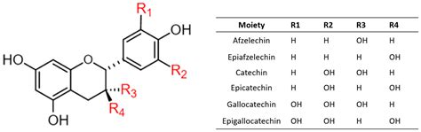 Antioxidants | Free Full-Text | Oligomeric Proanthocyanidins: An Updated Review of Their Natural ...