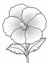 Hollyhock Flower Coloring Page Portrait Printable  sketch template