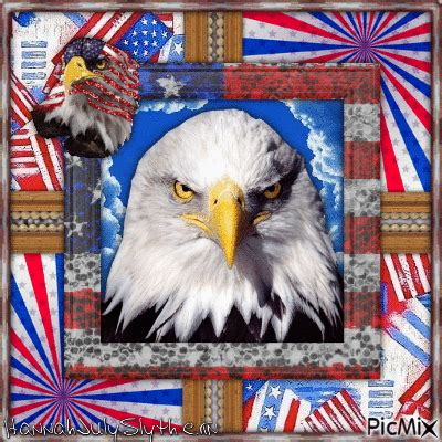 {{{The American Bald Eagle}}} - Free animated GIF - PicMix