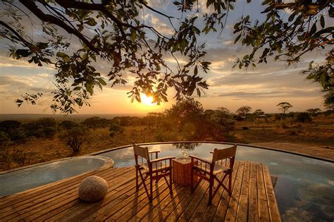 Serengeti Bushtops Camp | Safari Camps in Serengeti National Park, Tanzania | Africa Discovery