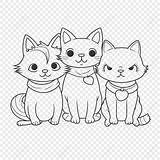 Kucing Mewarnai Lucu Hewan Sketsa Bertopi Mewarna Kartun Diwarnai Warna  sketch template