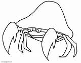 Hermit Crab Coloring Page  Free Printable Pages sketch template