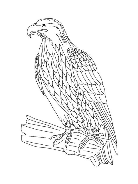 Bald Eagle 18 coloring page