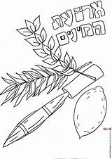 Sukkah Coloring Pages  Home sketch template