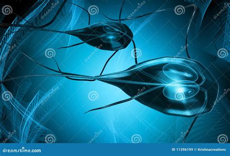 Flagella bacterium stock illustration. Illustration of science - 11396199