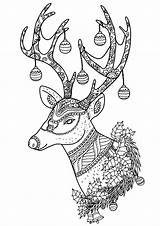 30 Free Reindeer Coloring Pages Printable sketch template