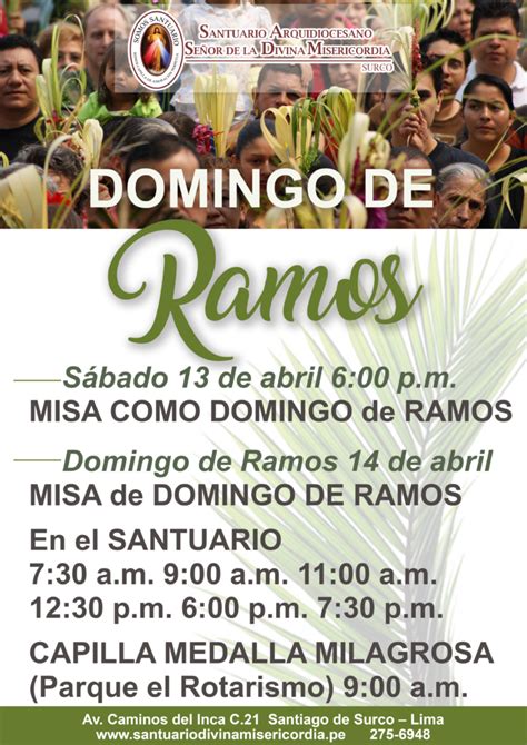 Horarios de Misa de Domingo de Ramos – Santuario Señor de la Divina ...