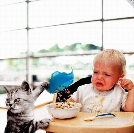 Funny Kids and Cats Photos 2012 | Funny World