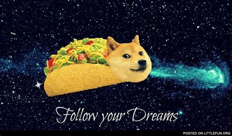 Follow your dream doge | Doge, Dreaming of you, Funny