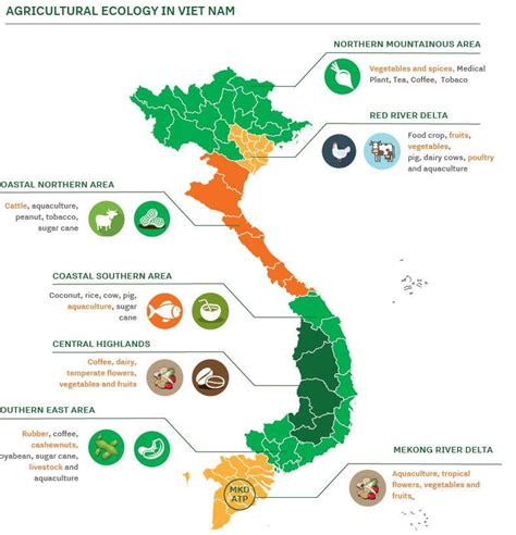 Vietnam Agro Factsheet 2023 | Publicatie | Agroberichten Buitenland