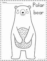 Arctic Animals Coloring Pages By The Kinder Kids  TpT sketch template