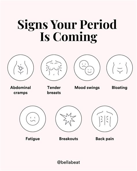 Menstrual Health, Menstrual Period, Menstrual Cycle, Bellabeat, Healthy ...