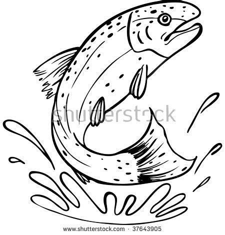 Image result for rainbow trout drawings Outline | Trout art, Trout, Line art