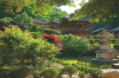 The Buddhist Temples Of South Korea - Travelling South Korea