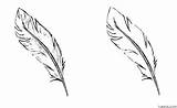 Feather Coloring Pages » Turkau sketch template