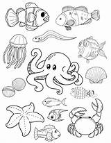 Cute Angel Fish Coloring Pages sketch template