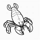 Lobster outline Black And White Cute coloring Book  Premium AI sketch template