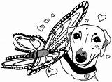 Whippet Coloring Getcolorings Posters Sketch Page sketch template