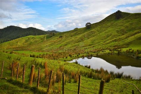 New Zealand, Beautiful Green Landscape with Mountains and Lake. Stock ...