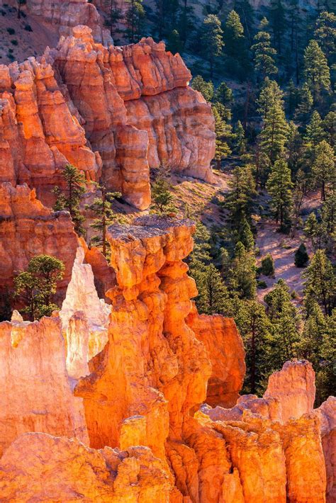 Glowing Hoodoos in Bryce Canyon 6616130 Stock Photo at Vecteezy