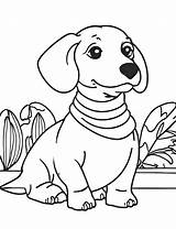 Dachshunds Coloring Pages  Made By Teachers sketch template