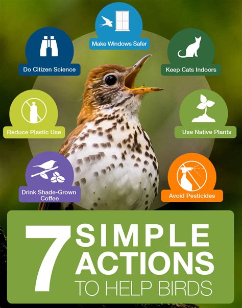 7 Simple Actions to Help Birds - Sacajawea Audubon Society