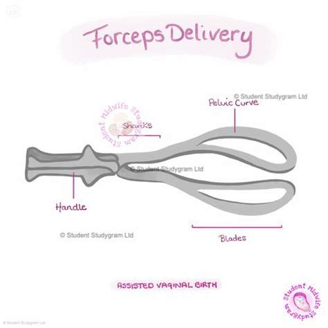 Forceps Delivery – Digital Downloads – Student Midwife Studygram