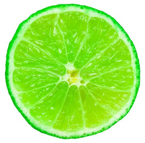 Green Lime Fruit Slice stock image. Image of health, juicy - 35968925