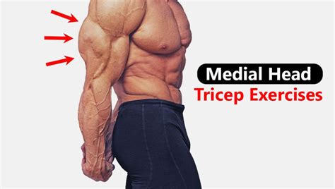 Medial Head Tricep Exercises - Health For Best Life