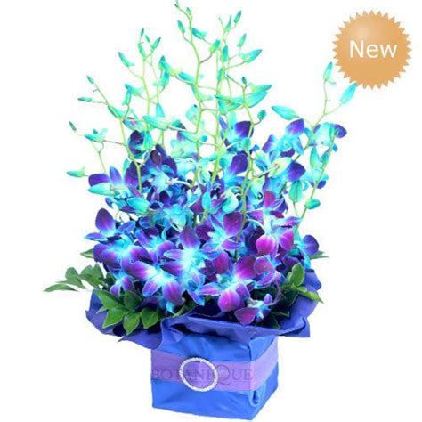 blue orchid flowers images - Google Search | Buy flowers online, Orchids, Flowers online