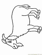Free Goat Pictures To Color Download Png  sketch template