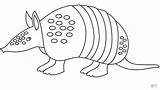 Armadillo coloring page  Free Printable Coloring Pages sketch template