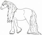 Clydesdale Horse Coloring Pages sketch template