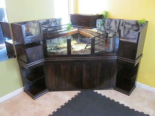 Tortoise Table | Tortoise Table/Indoor enclosure. Pine plywo… | Flickr