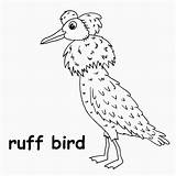 Coloring Pages Ruff Dave Tweet Sprout Huge Sprouts Kids Template  sketch template