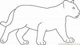 Black Baby Panther Coloring Page For Kids  Free Printable sketch template