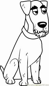Dog Catcher Coloring Pages sketch template