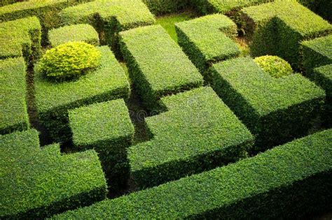 Maze garden stock photo. Image of love, decoration, light - 4763944