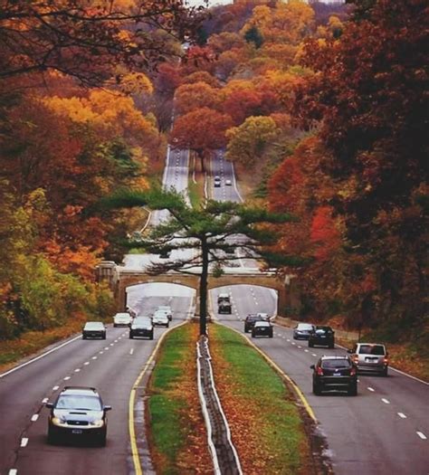 This is a picture from the Merritt Pkwy, in Fairfield, Ct. Crayola has nothing on God! | Road ...