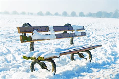 Bench And Snowy Park Free Stock Photo - Public Domain Pictures