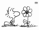 Peanuts Printable Coloring Pages sketch template