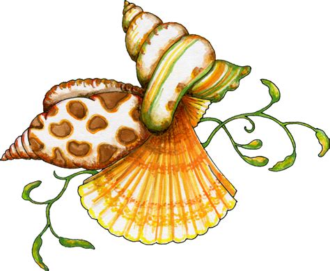 Sea Shells Clip Art - ClipArt Best