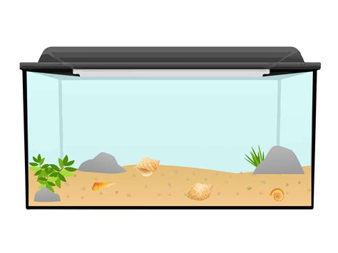 Aquarium clipart rectangle, Aquarium rectangle Transparent FREE for download on WebStockReview 2024