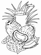 Coconut Coloring Pages Printable For Free Download sketch template