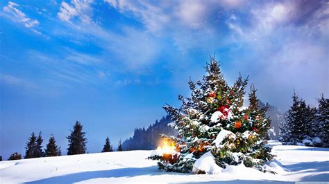 Winter Christmas Wallpaper Hd