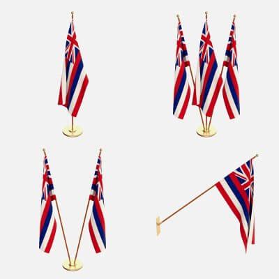 Hawaii Flag Pack - 3D Model by dragosburian